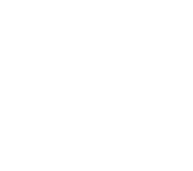 LIGUE-1.webp